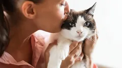 Kedilerle iletişimde yapılan hatalar ve doğru yaklaşım önerileri