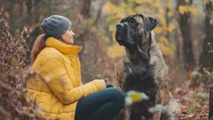 Köpeğinizin sizi sevdiğini gösteren 6 kesin işaret ve anlamları