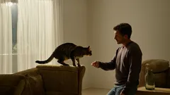 Kediniz için asla yapılmaması gereken 10 kritik hata