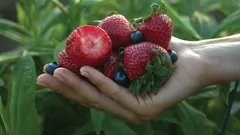 Beyin Sağlığını Korumak İçin Ürünler: Uzmanlardan İpuçları