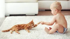 Kediler, Çocuk Yetiştirmede Ebeveynlere Nasıl Yardımcı Olur?