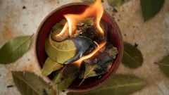 Portakalı defne ile karıştırmak: Ne işe yarar ve neden öneriliyor?