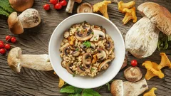 Her Ev Aşçısı İçin Üç İnanılmaz Mantar Tarifi